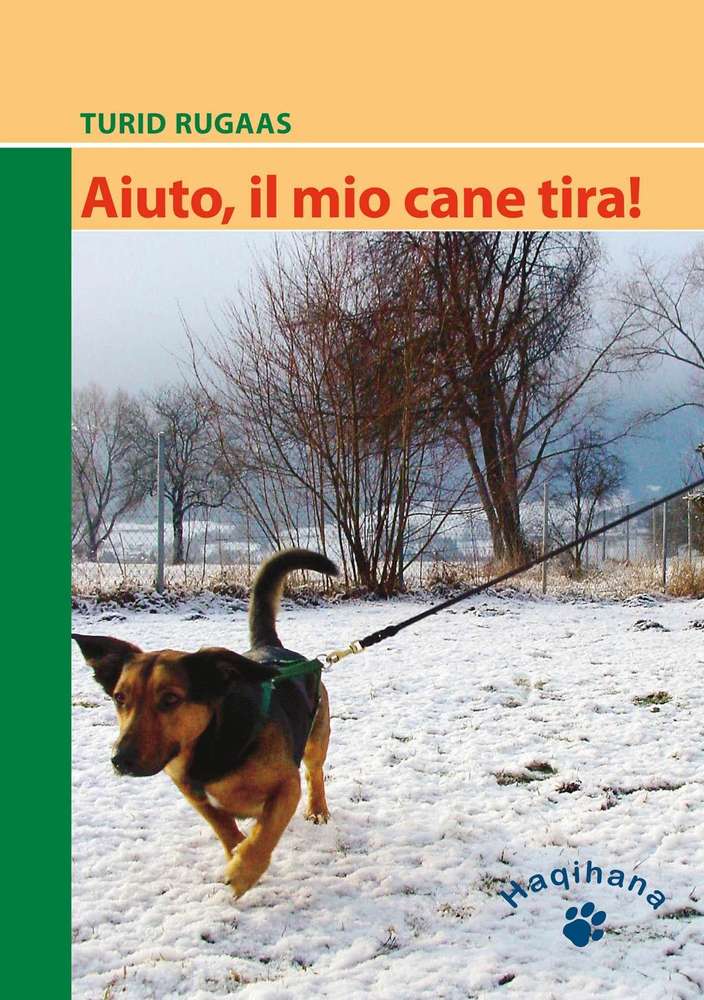 Ma Bunny davvero parla? L'interessante studio americano sull'apprendimento  del linguaggio nel cane